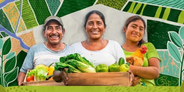 Floresta Mais Amazônia: Mutirão de Regularização Ambiental chega aos agricultores parintinenses