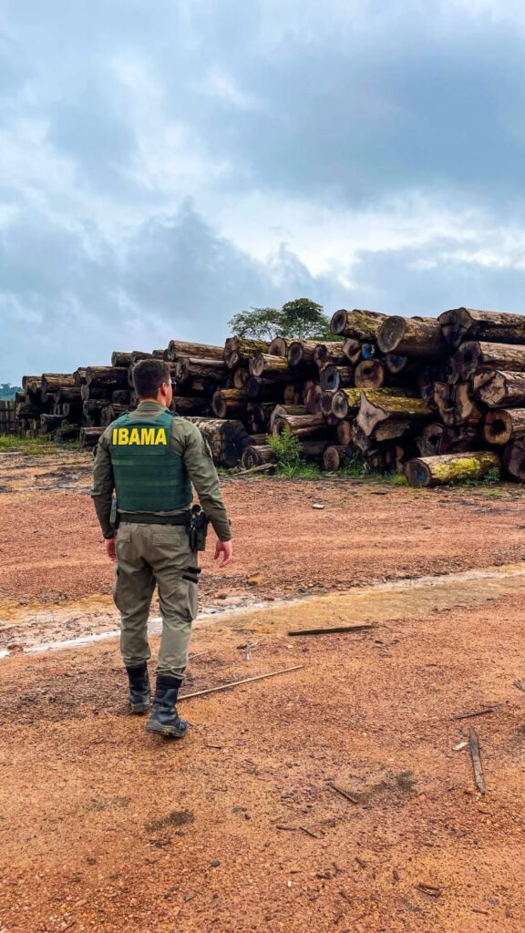 Ibama inicia Operação Maravalha 2025 para combater o desmatamento na Amazônia