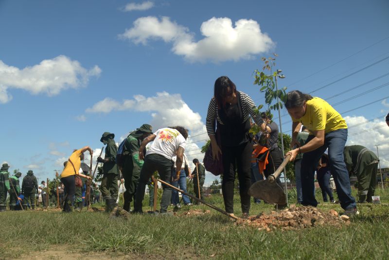 MEIO AMBIENTE Prefeitura de Manaus apresenta Centro de Produção de Mudas aos participantes da oficina regional do Plano Nacional de Arborização Urbana