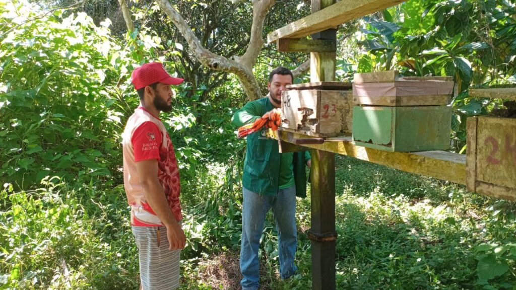 Florada de abelhas: manejo zootécnico para meliponicultores é realizado pela Prefeitura de Parintins