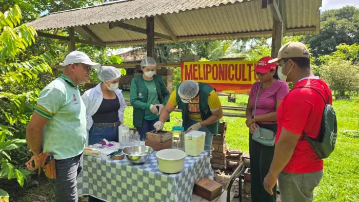 Prefeitura de Parintins apresenta resultado do incentivo à produção de mel de abelha sem ferrão