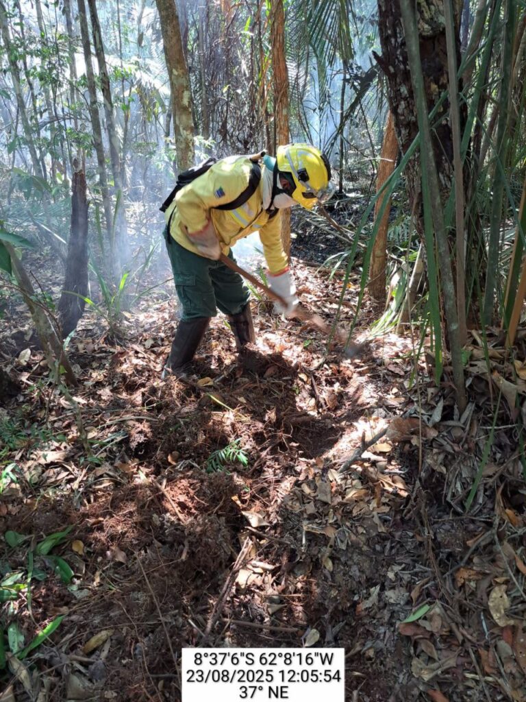 IBAMA combate a incêndios florestais nos Campos Amazônicos e na TI Tenharin Marmelos no Amazonas