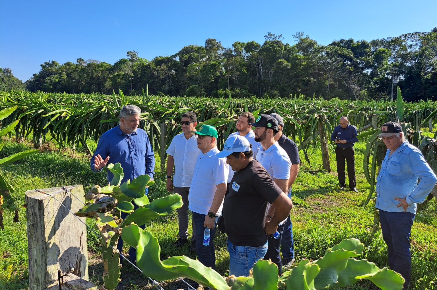 Suframa visita fazenda que é referência na produção de pitaya nos últimos dez anos