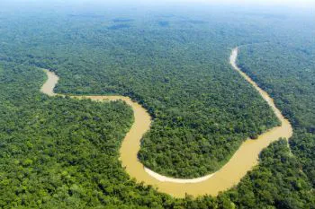 5 de Setembro: Dia da Amazônia