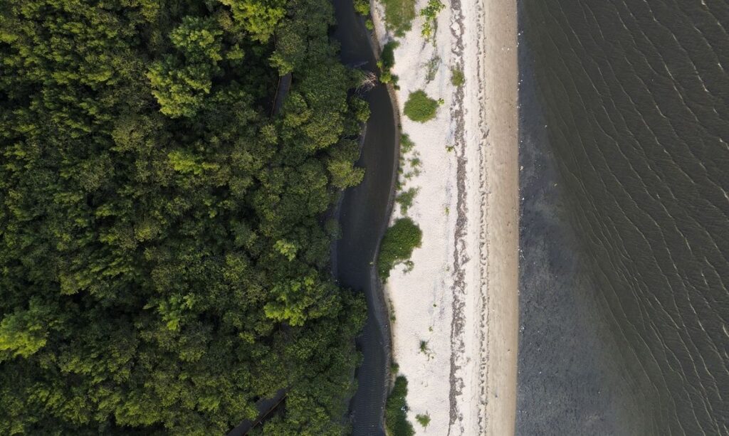 “Não existe Planeta B”, alerta astrofísico às vésperas da COP30