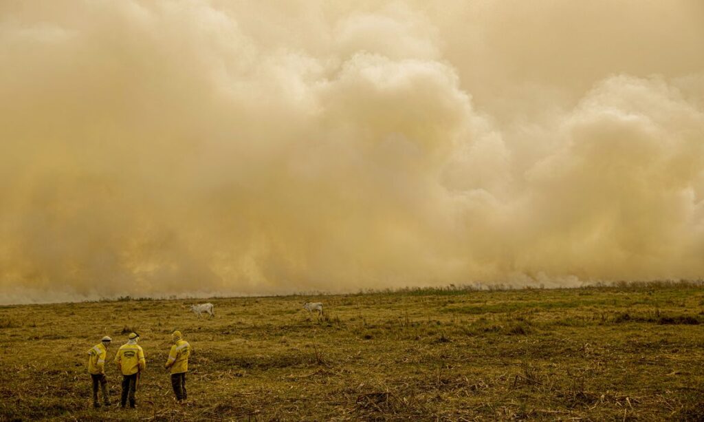Calor já mata meio milhão de pessoas por ano, alertam cientistas