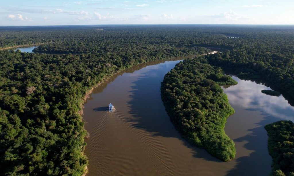 Amazônia e Cerrado têm dados históricos de redução do desmatamento