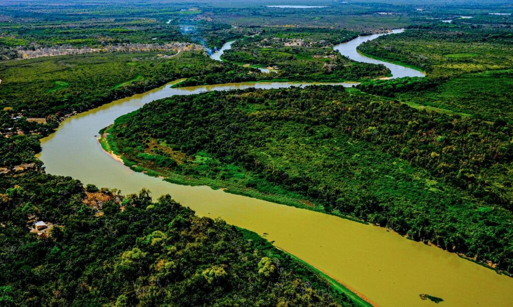 Relatório do MapBiomas revela Pantanal reconfigurado em 40 anos
