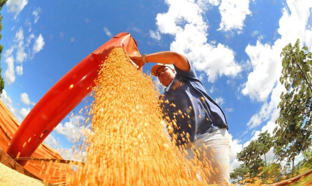 Safra deve recuar 3,7% em 2026, depois de um 2025 recorde