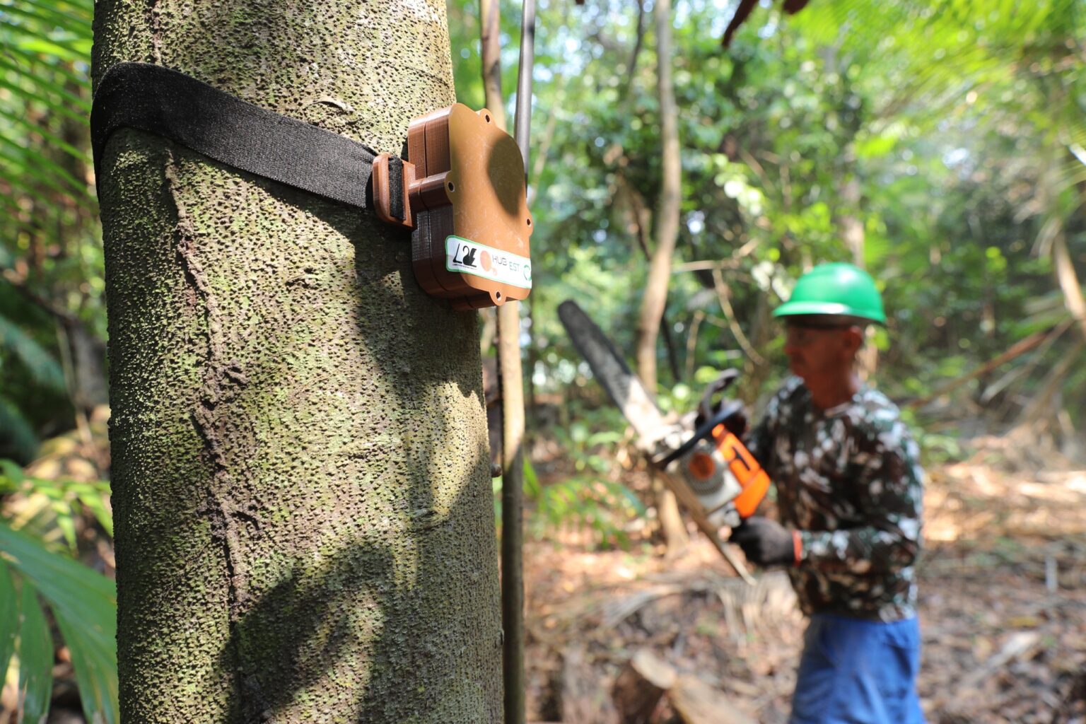 COP30: Defensoria do Amazonas abre programação mostrando desafios de atendimento no interior e projeto inovador de regularização fundiária