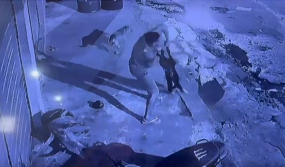 PC-AM prende homem que agrediu e matou cachorro em Borba