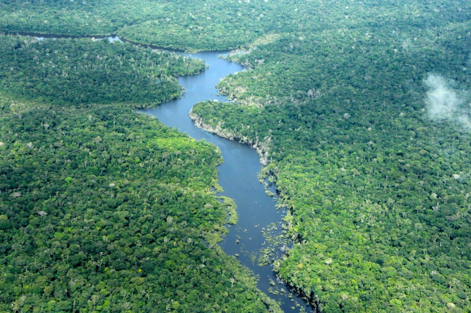 BALANÇO 2025 Amazonas tem menor número de alertas de desmatamento dos últimos oito anos