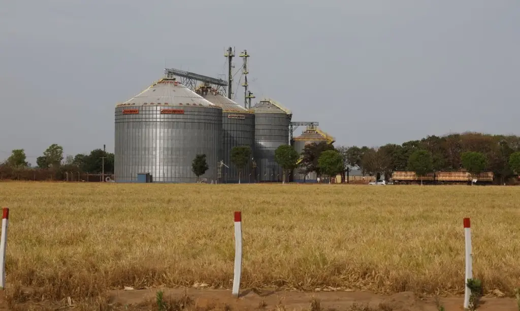 Brasil se destaca no G20 com crescimento de 2,3% em 2025, impulsionado pelo agronegócio