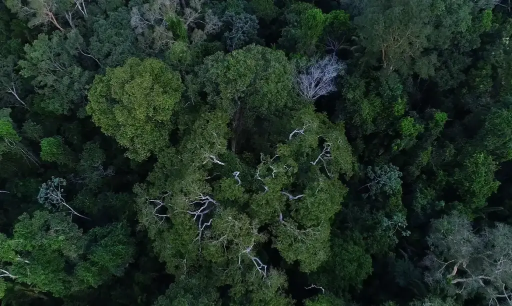 Previdência e BNDES unem forças para impulsionar investimentos ESG em fundos de pensão