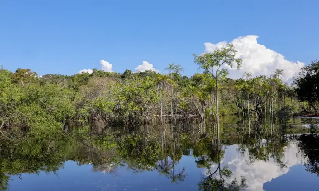 Governo capta R$ 179 bilhões para impulsionar transição ecológica desde 2023