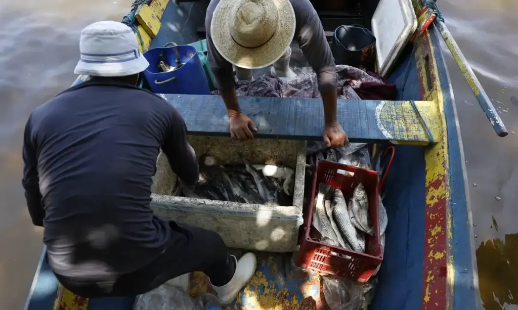 Seguro-defeso: 110 mil pescadores recebem 6º lote de pagamentos nesta terça-feira