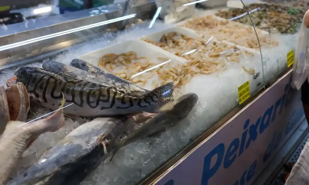 Semana Santa: dicas essenciais para escolher e consumir pescado com segurança
