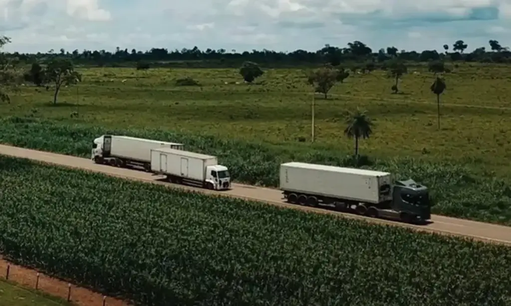 Setor de serviços atinge pico histórico com leve avanço em fevereiro