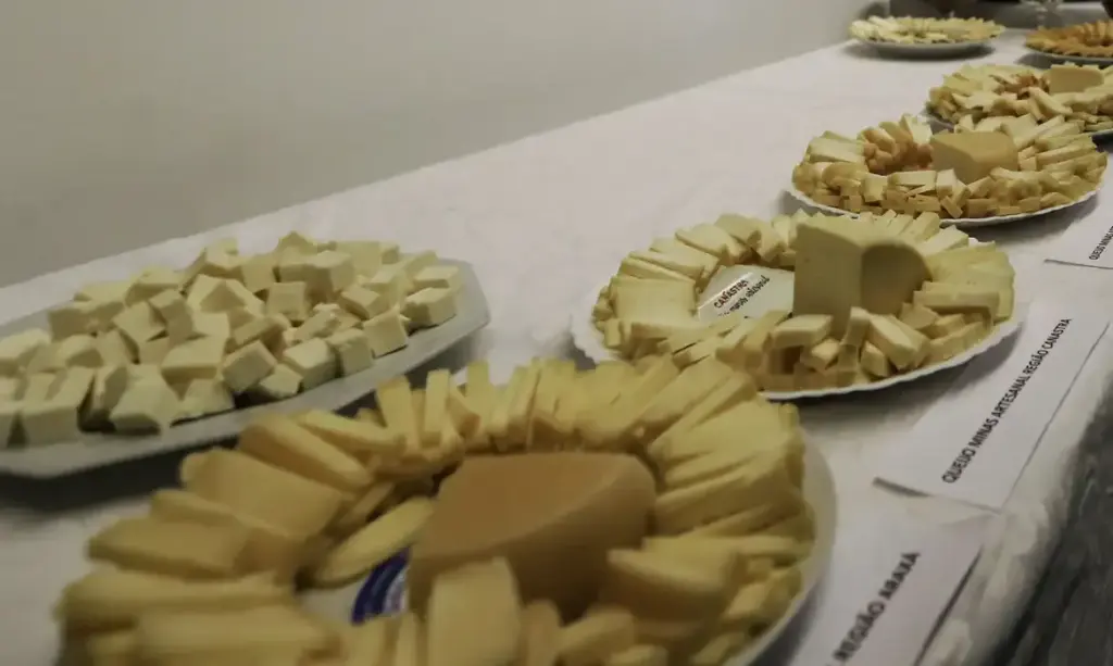 Queijos mais baratos chegam ao Brasil após acordo Mercosul-UE