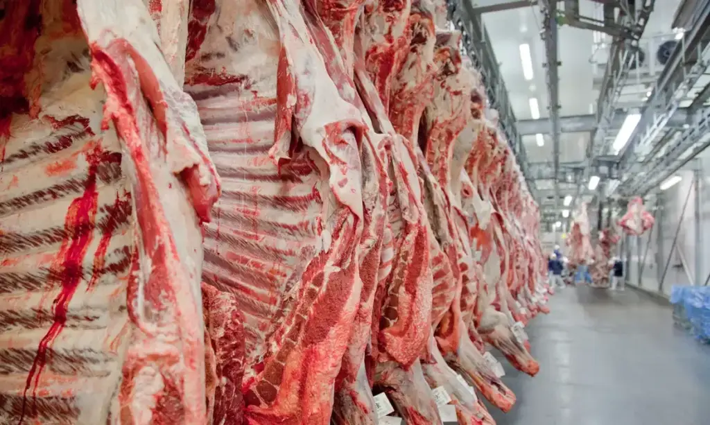 Brasil busca reverter veto da União Europeia à exportação de carnes e animais