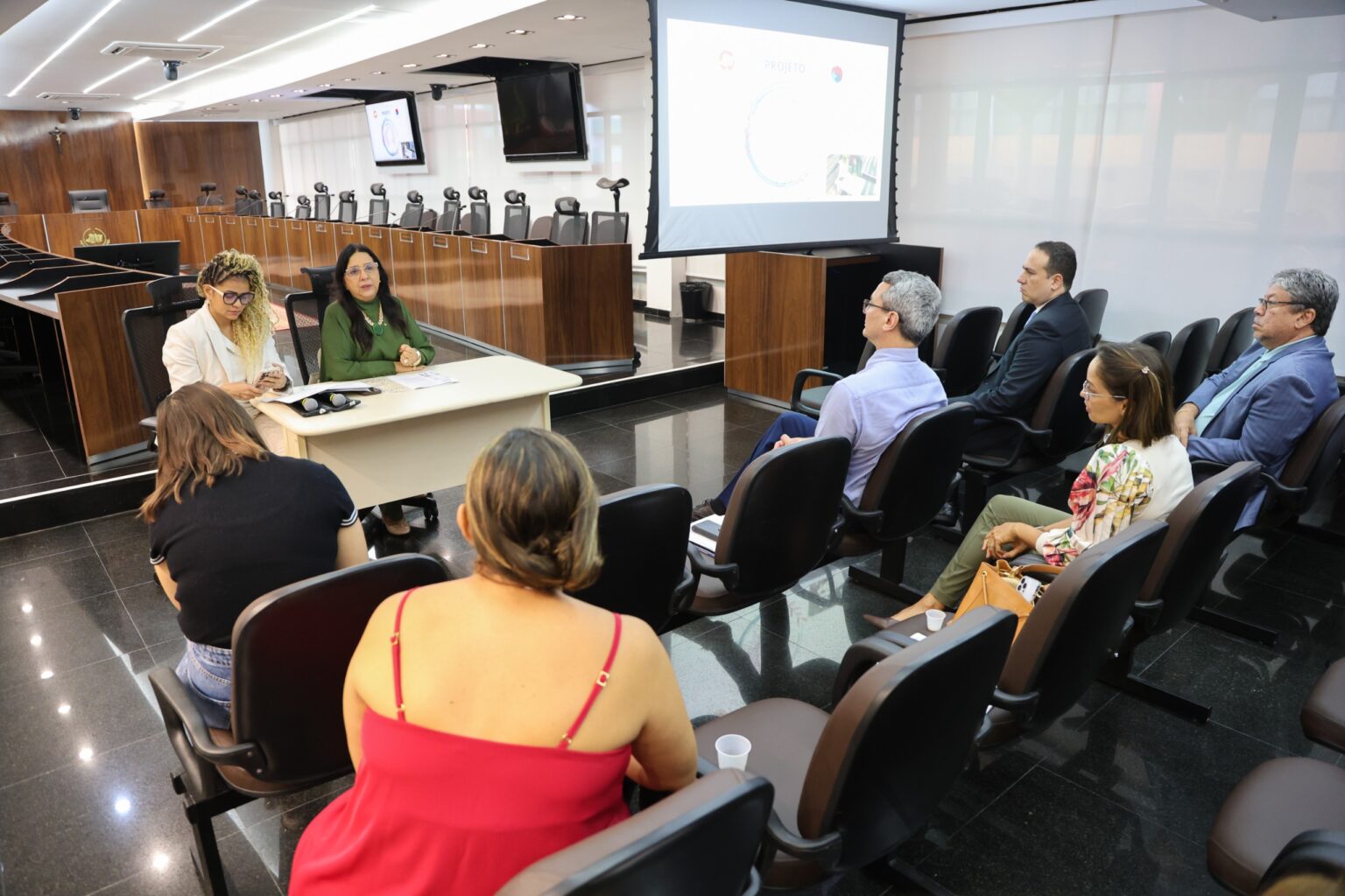Sob coordenação da PGJ, MPAM realiza reunião institucional com Promotorias sobre o combate à violência doméstica e familiar contra a mulher