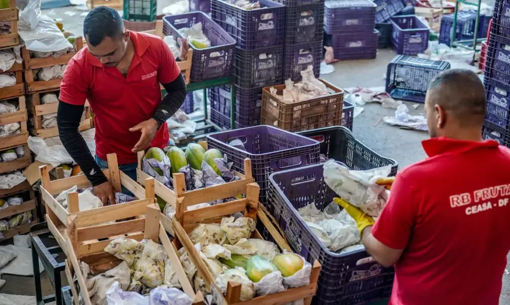 Plano Safra da Agricultura Familiar 2026/2027: R$ 97,3 bilhões para impulsionar o campo