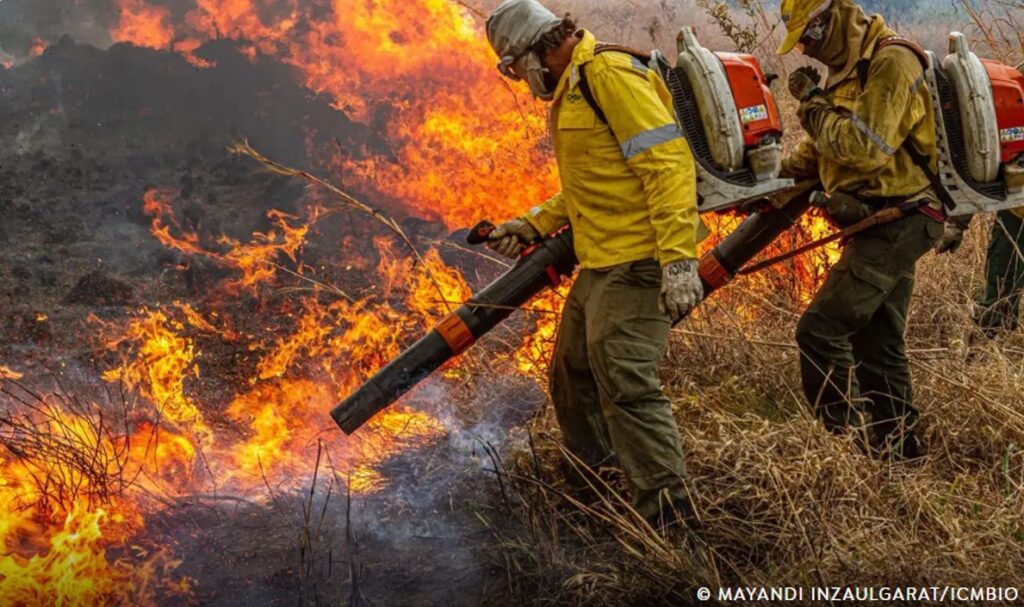 Governo Federal reforça combate aos incêndios florestais com investimento de R$ 337,5 milhões para IBAMA e ICMBio