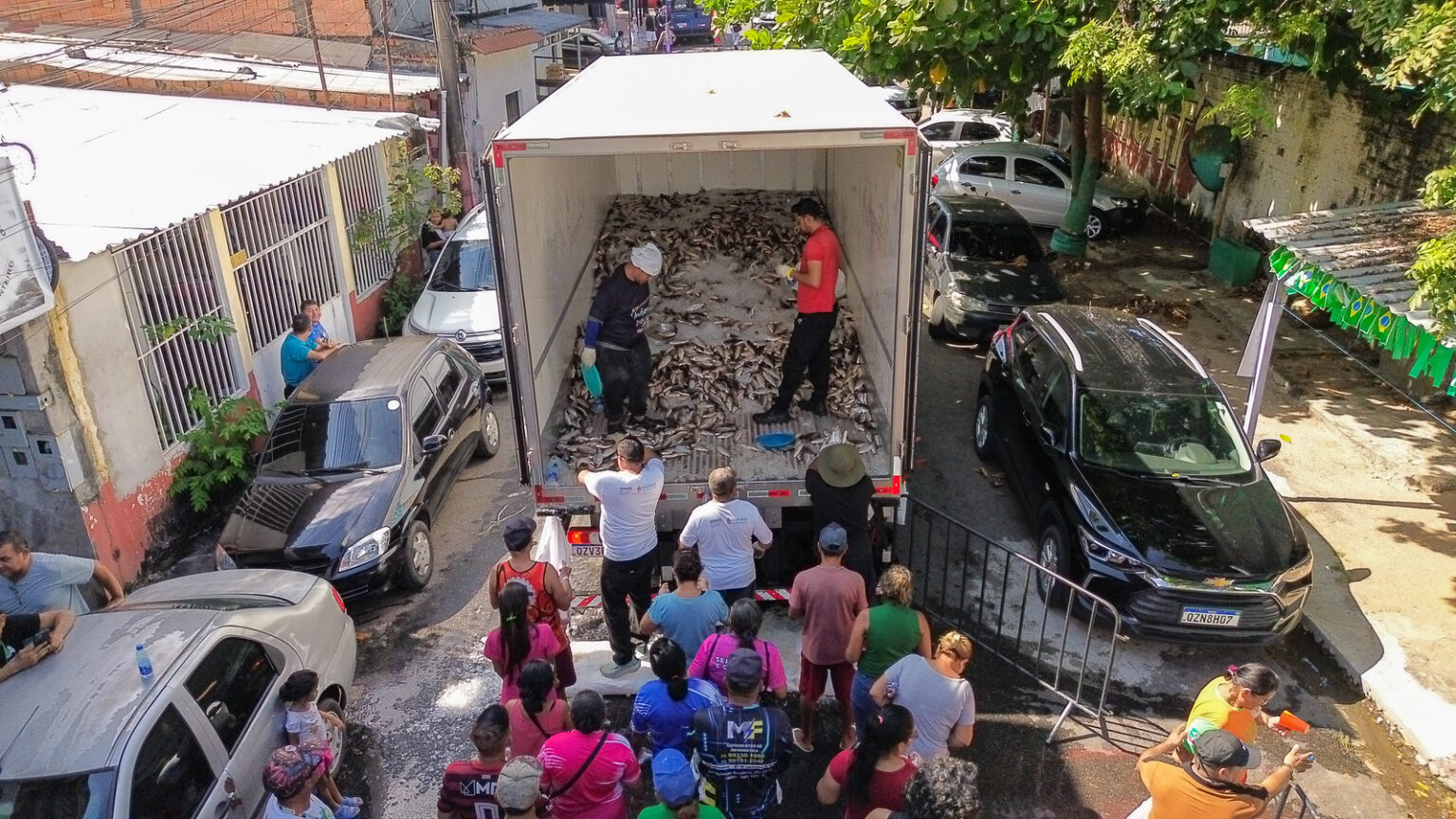 100 DIAS DE GESTÃO prefeito Renato Junior fortalece segurança alimentar com entrega de 20 toneladas de pescado do ‘Jaraqui da Gente’