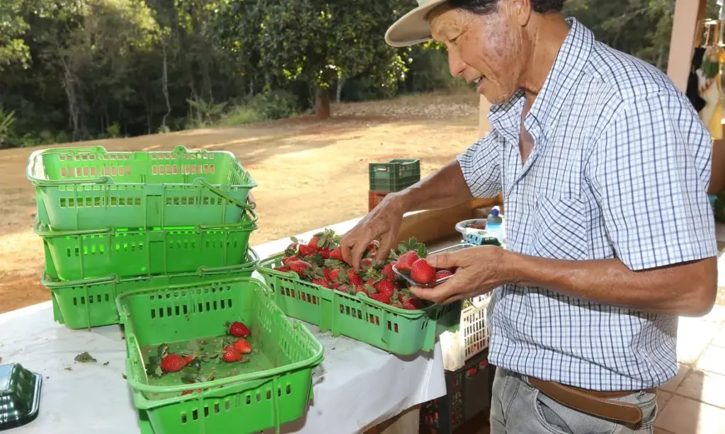 Finep libera R$ 220 milhões para impulsionar inovações na agricultura familiar e aquicultura