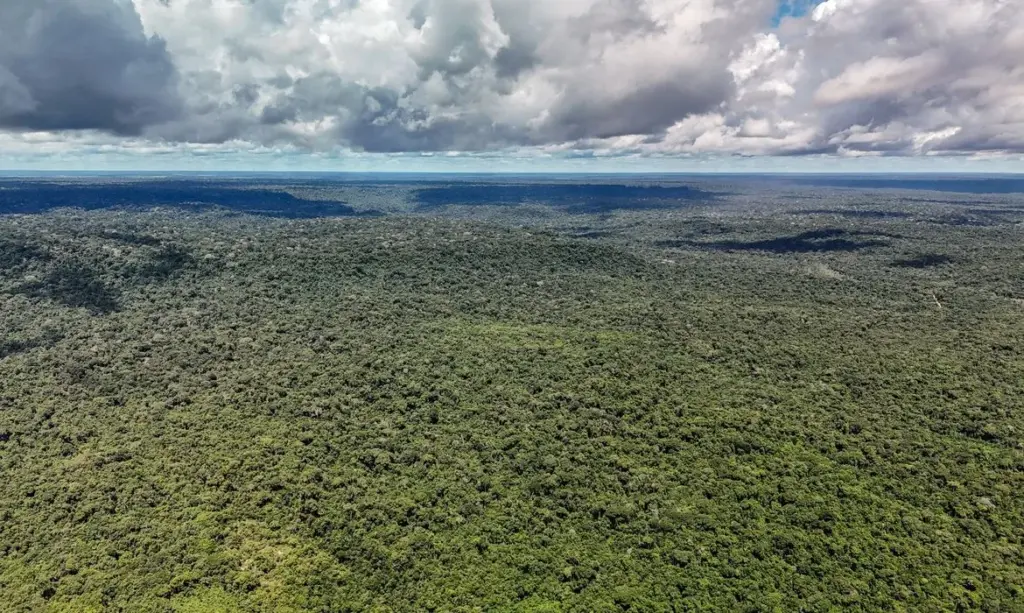 Brasil e Noruega: parceria ambiental transcende o campo de futebol