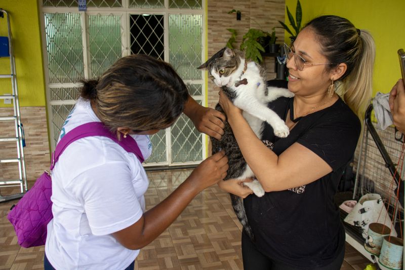 Prefeitura de Manaus divulga resultado preliminar de Processo Seletivo Simplificado para campanha antirrábica animal de 2026